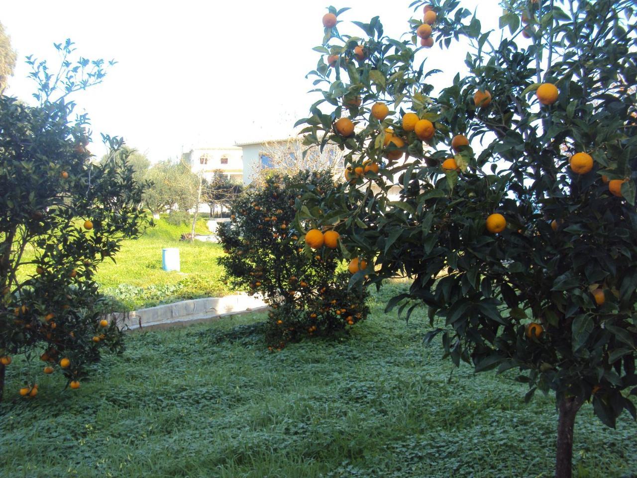 Villa Nostos Koróni Zewnętrze zdjęcie